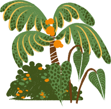 Coconut tree