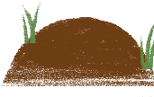 Sea stone